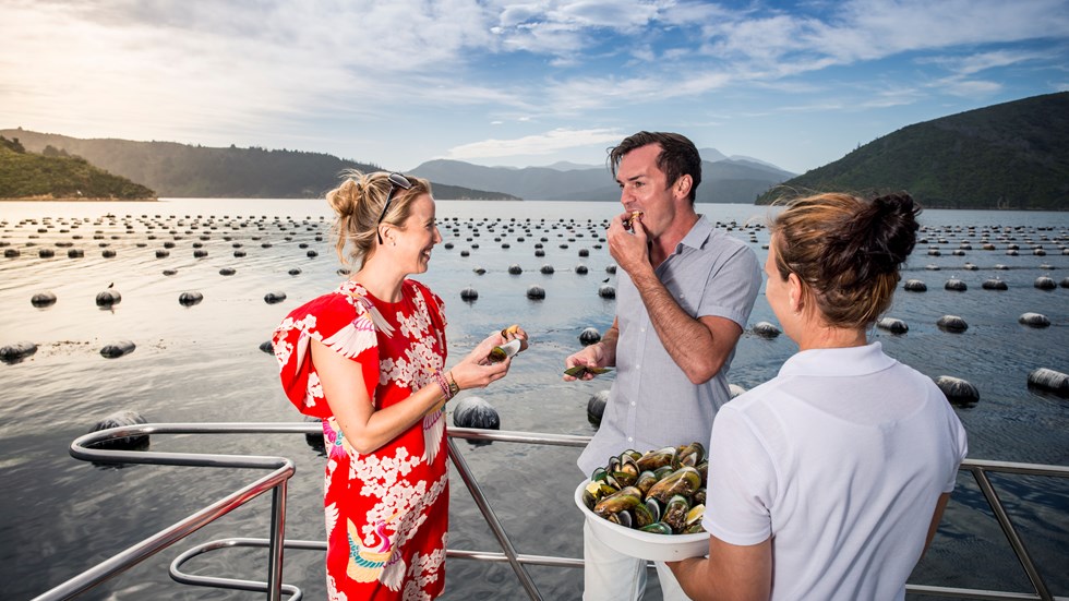 A couple laughs while tasting Greenshell mussels with Marlborough Tour Company staff member at bow of boat in the Marlborough Sounds, at the top of New Zealand's South Island